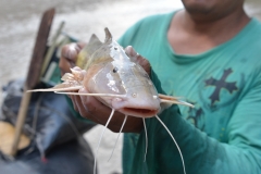 Local-fisherman-with-the-catch-of-the-day