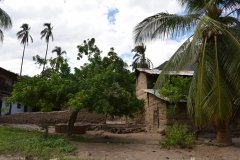 Village-along-the-the-Rio-Marañón-2