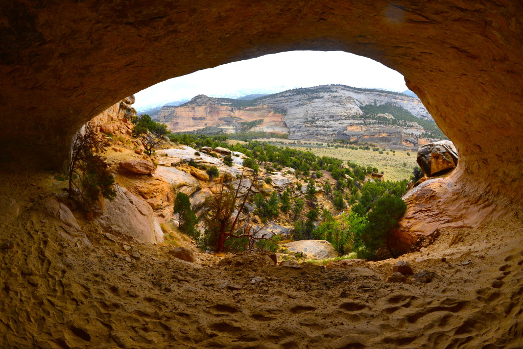 Signature Cave